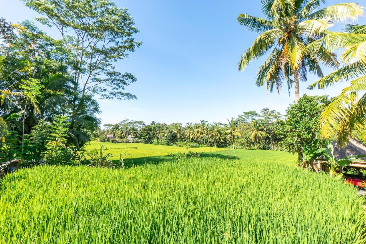 Rouge - Private Villa Passion Ubud Exterior foto